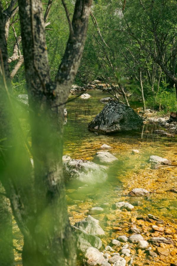 Natures Escape Kozarica Savnik 외부 사진